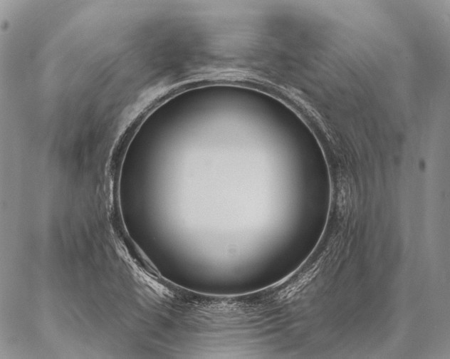 X0000087021414200704301303