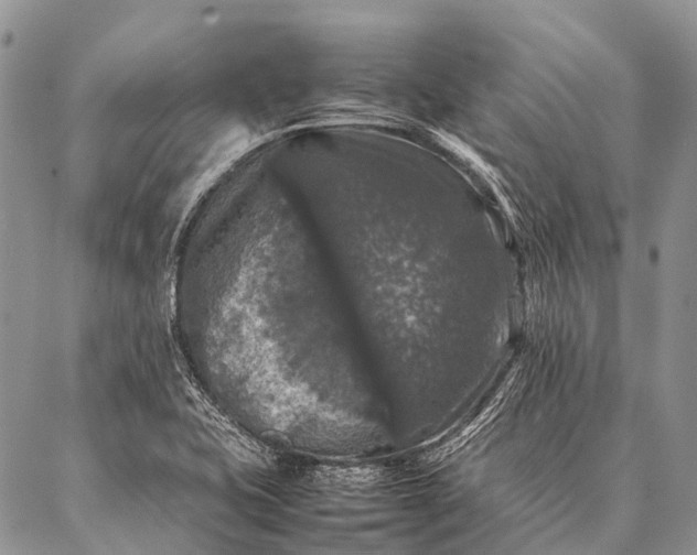 X0000087021415200704301303