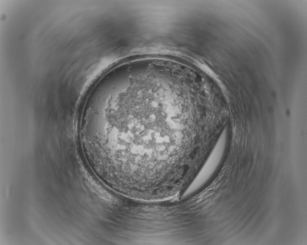 X0000087021416200704301303