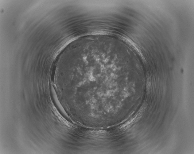 X0000087021417200704301303