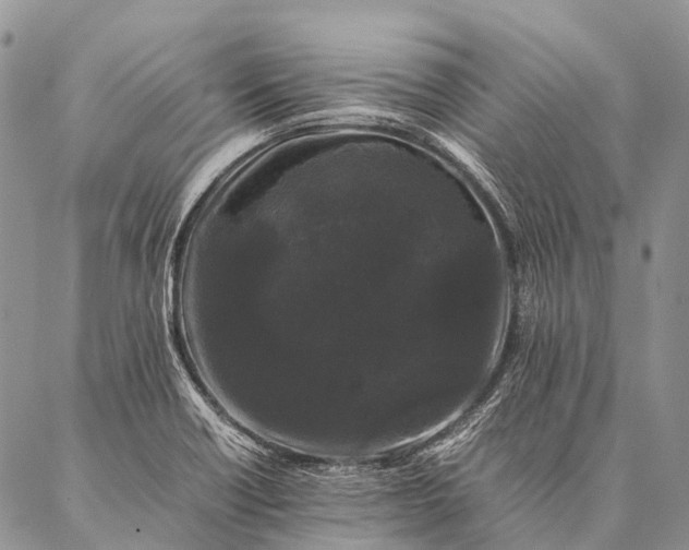 X0000087021418200704301303