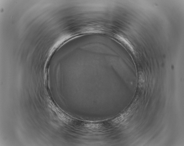 X0000087021419200704301303