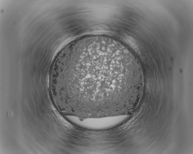 X0000087021420200704301303