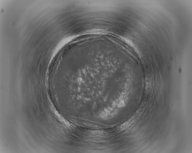 X0000087021421200704301303