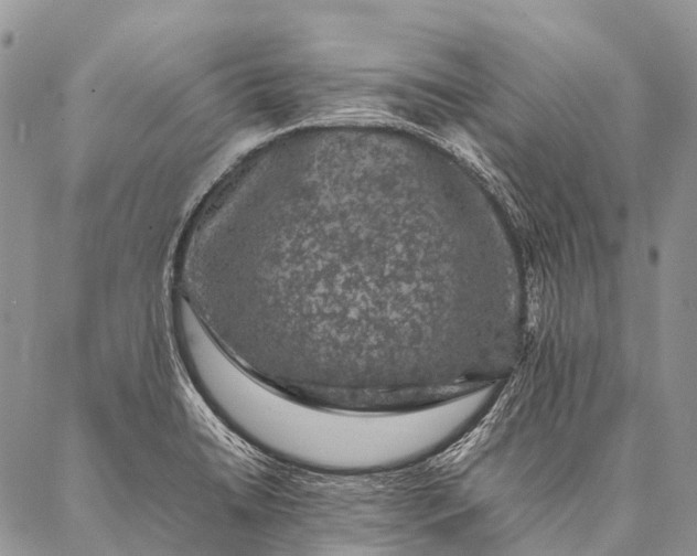 X0000087021422200704301303