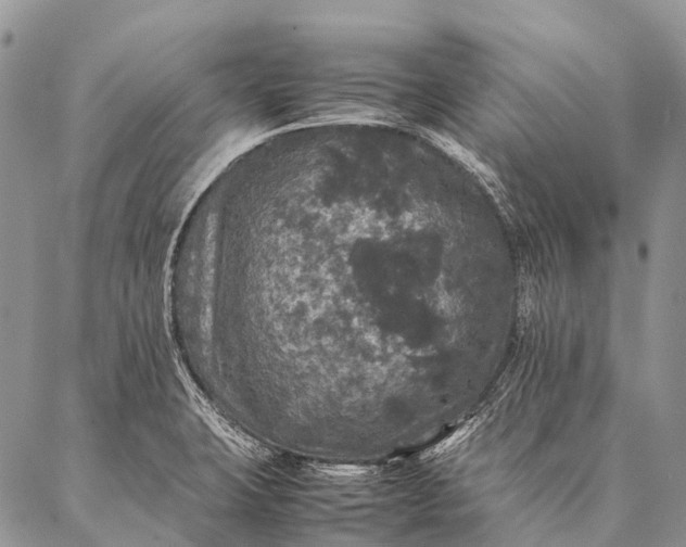 X0000087021423200704301303