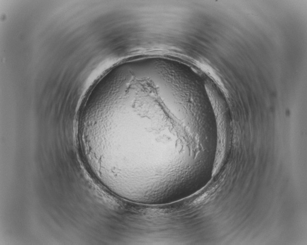 X0000087021424200704301303