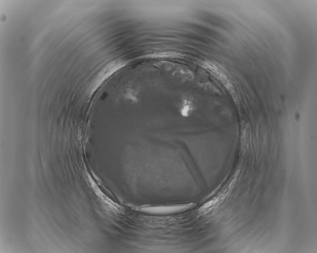 X0000087021425200704301303