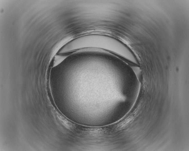 X0000087021426200704301303