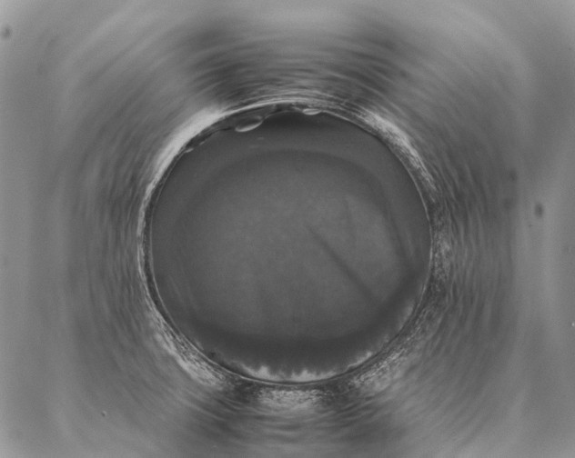 X0000087021427200704301303