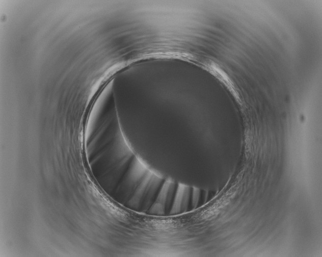 X0000087021428200704301303