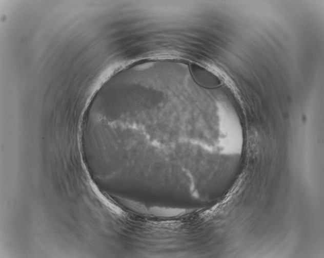 X0000087021429200704301303