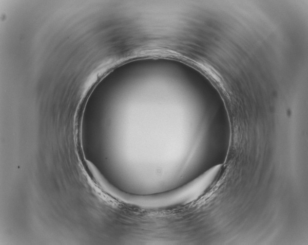 X0000087021430200704301303