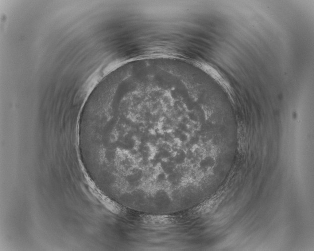 X0000087021431200704301303