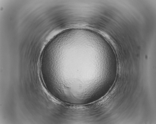 X0000087021432200704301303