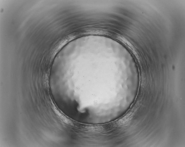 X0000087021433200704301303