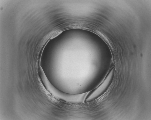 X0000087021434200704301303