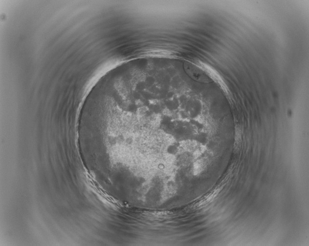 X0000087021435200704301303