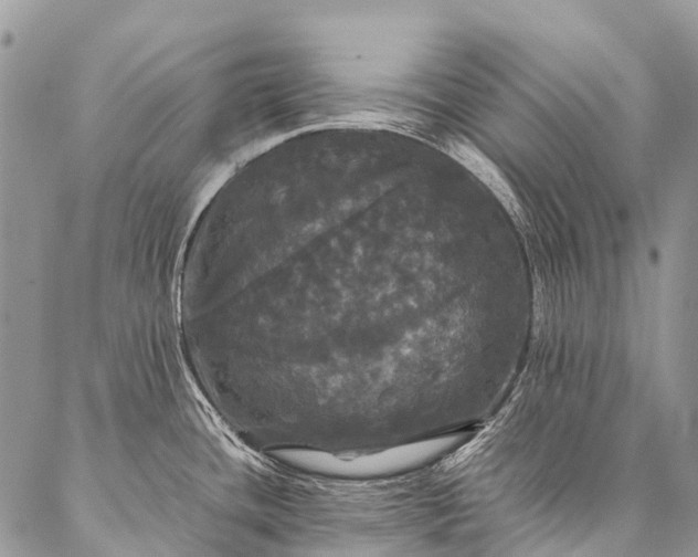 X0000087021436200704301303