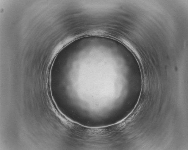 X0000087021437200704301303