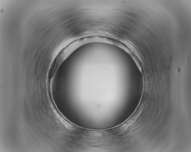 X0000087021438200704301303