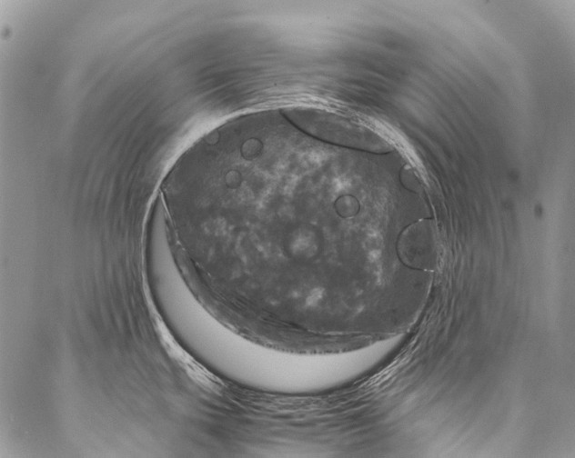 X0000087021439200704301303