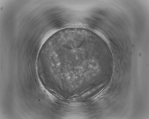 X0000087021440200704301303