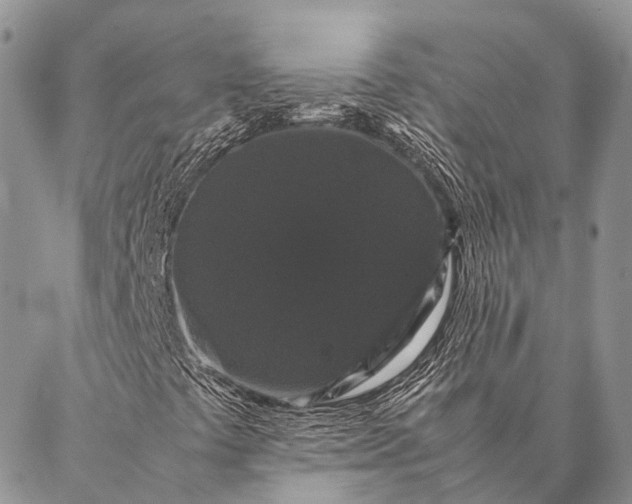 X0000087021441200704301302