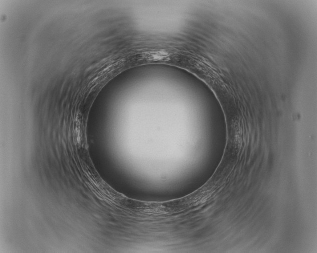 X0000087021442200704301302