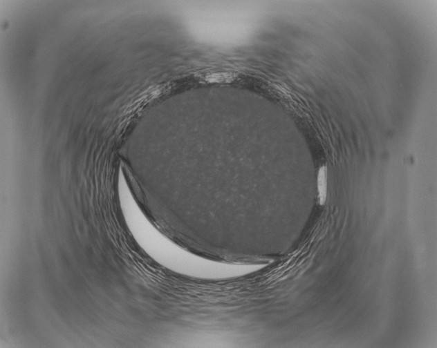 X0000087021443200704301302