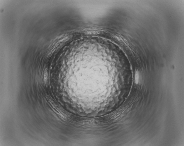 X0000087021444200704301302