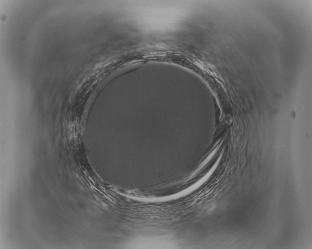 X0000087021445200704301302