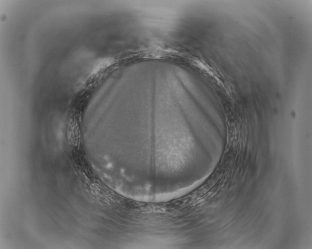 X0000087021446200704301302