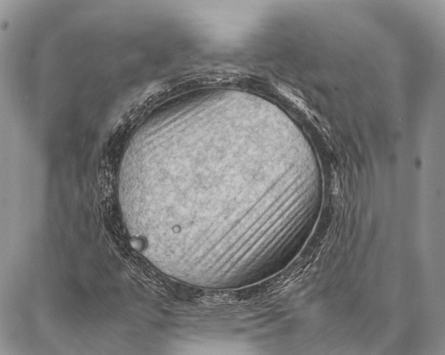 X0000087021447200704301302