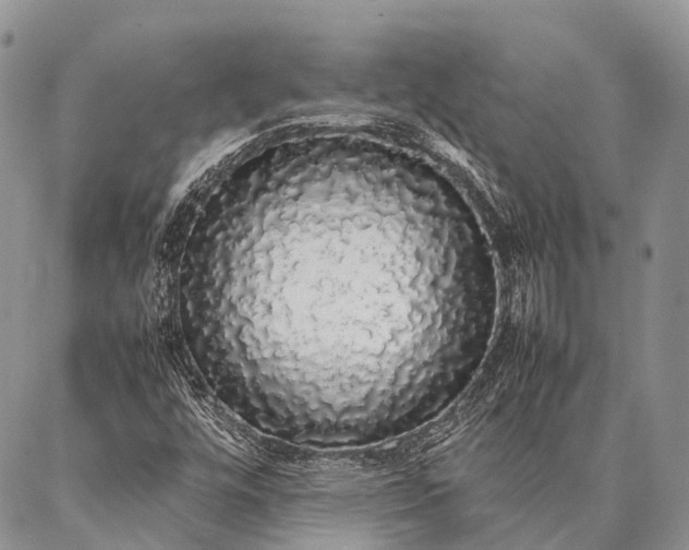 X0000087021448200704301302