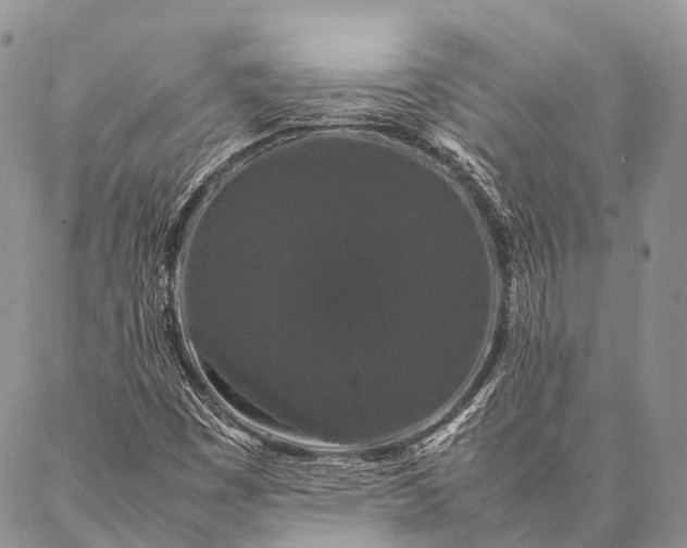 X0000087021449200704301302