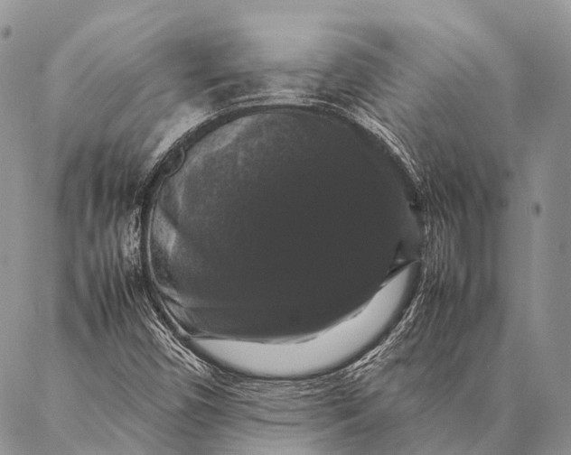 X0000087021450200704301302