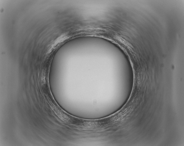 X0000087021451200704301302