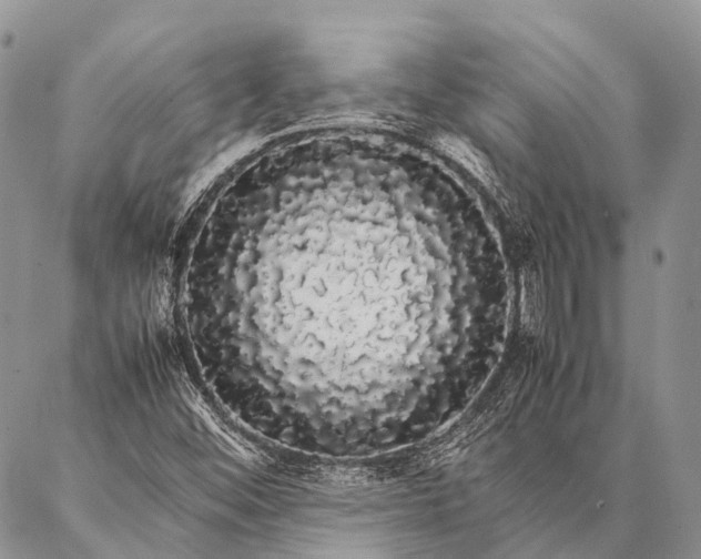 X0000087021452200704301302