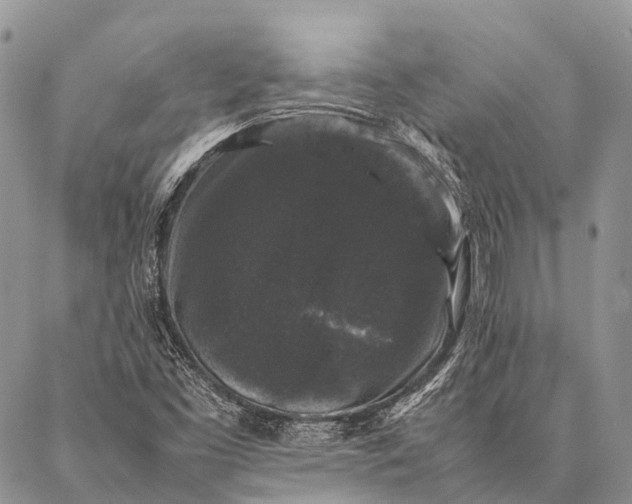 X0000087021453200704301302