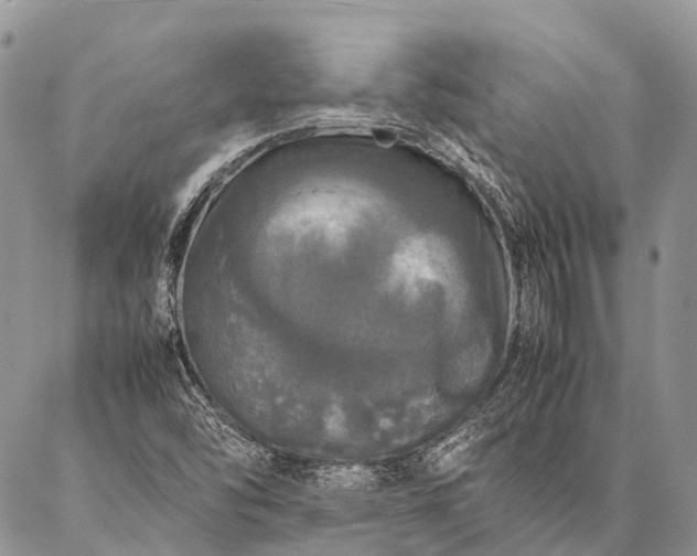 X0000087021454200704301302