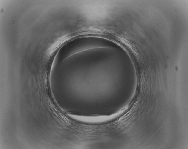 X0000087021455200704301302