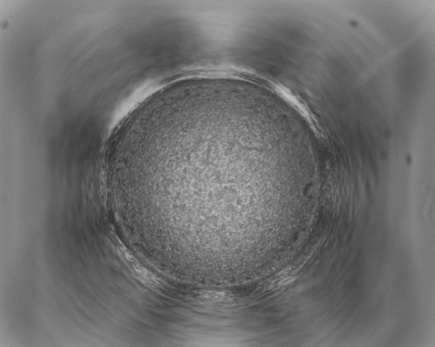 X0000087021456200704301302