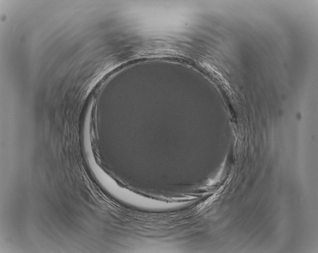 X0000087021457200704301302