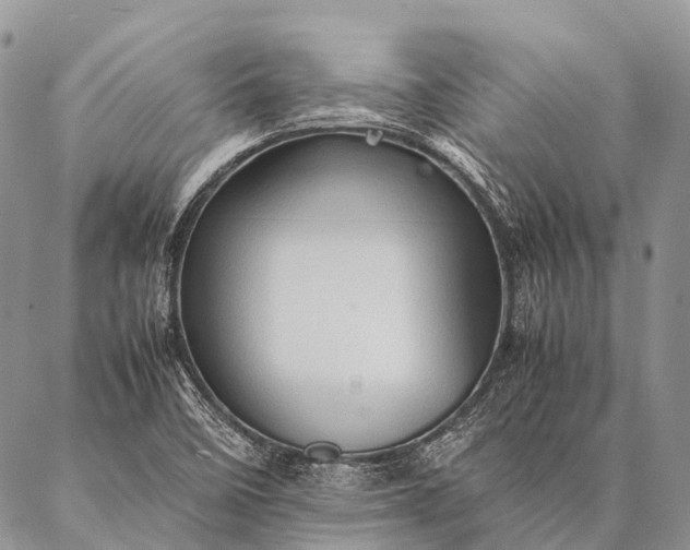 X0000087021458200704301302