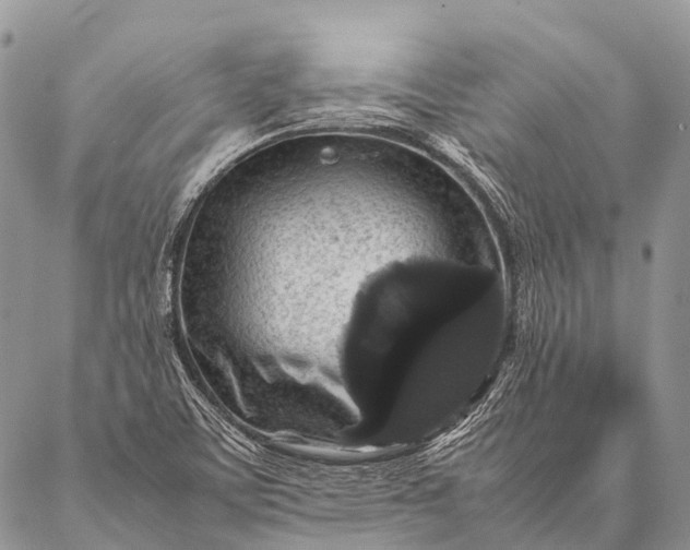 X0000087021459200704301302