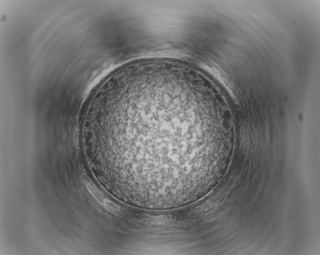 X0000087021460200704301302