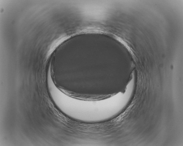 X0000087021461200704301302
