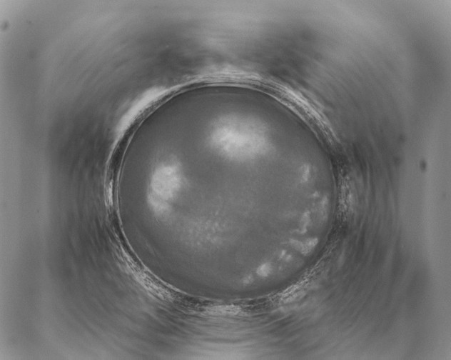 X0000087021462200704301302