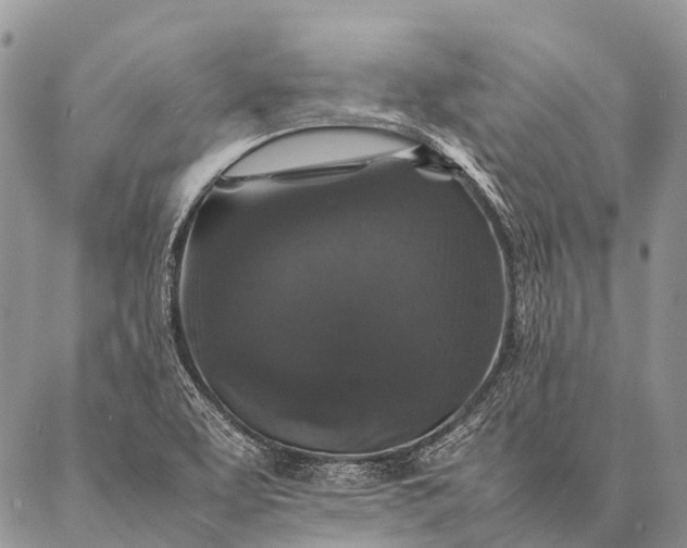 X0000087021463200704301302